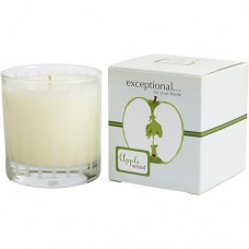 APPLE WOOD - LIMITED EDITION by Exceptional Parfums APPLE WOOD SCENTED 6 OZ TAPERED GLASS JAR CANDLE.