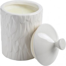 THOMPSON FERRIER by Thompson Ferrier WILDFLOWER FEATHER TEXTURED SCENTED CANDLE 18.4 OZ